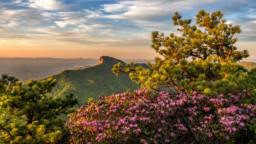 Saluda Mountainse, North Carolina
