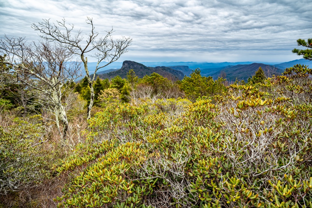 Saluda Mountainse, North Carolina