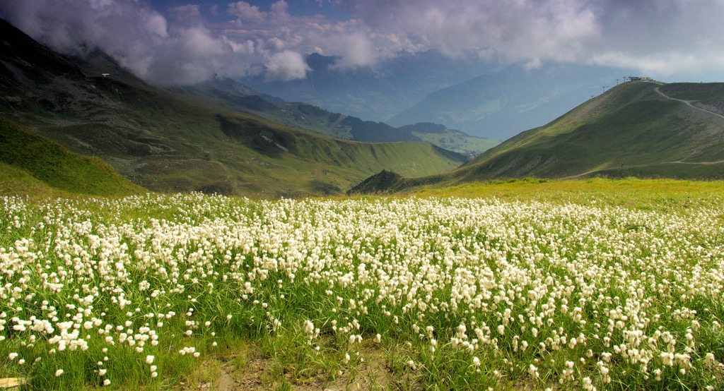 Hiking mountain Furgler. Samnaun Alps