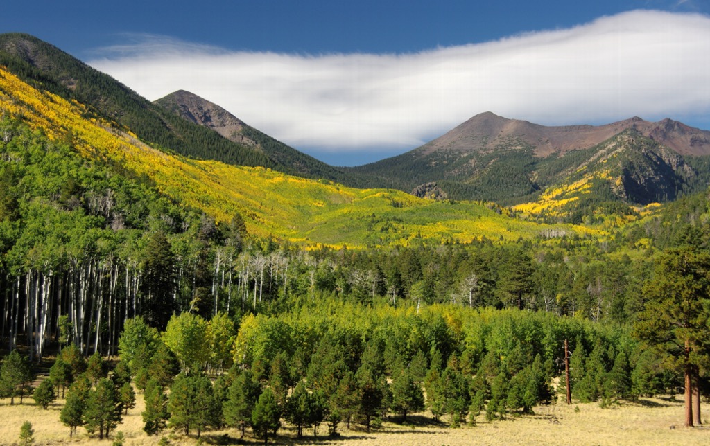 Coconino National Forest, Arizona