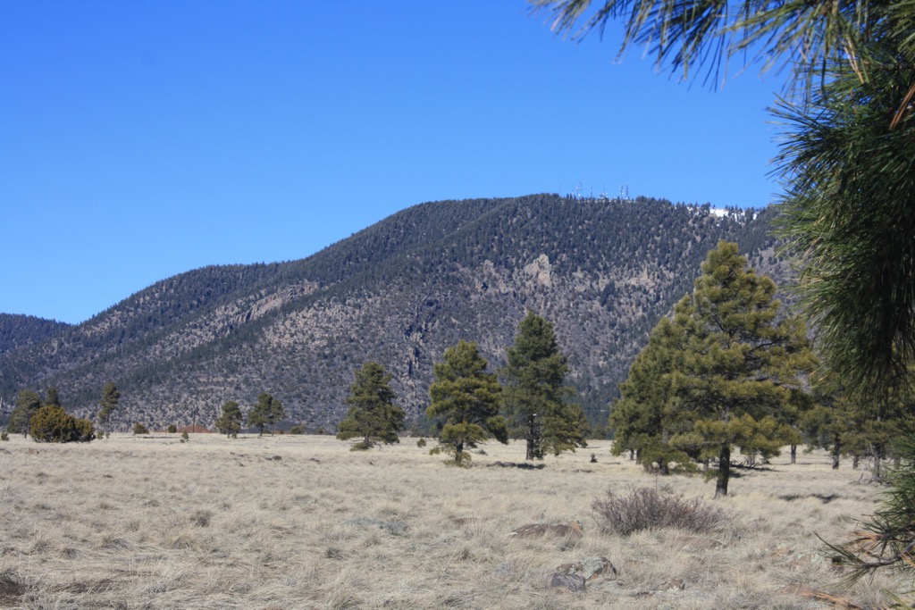 San-Francisco-Peaks, Elden Mountain, Arizona