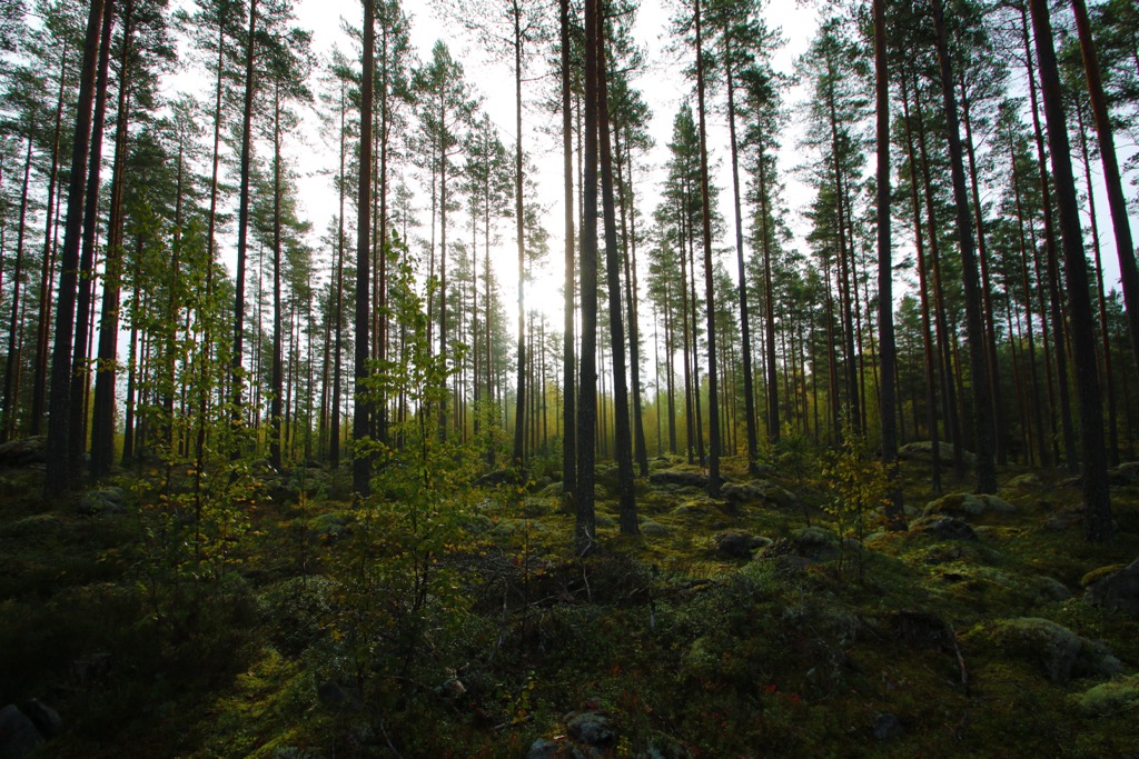 Satakunta, Finland