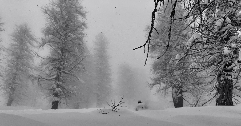 Searching for the Greatest Snow on Earth