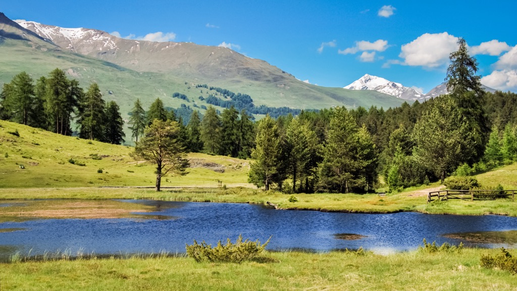 A typical wooded area in the Sesvenna Alps along the Inn River near Tarasp. Sesvenna Alps