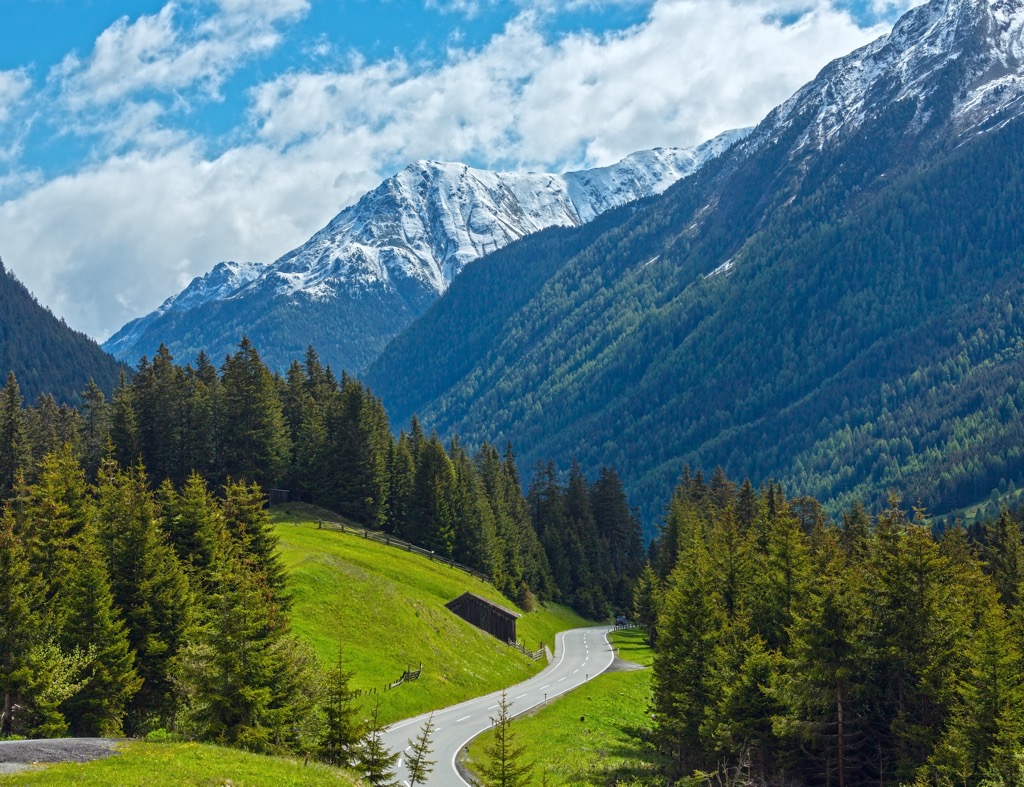 Fir forests on the slopes of the Silvretta Alps. Silvretta Alps
