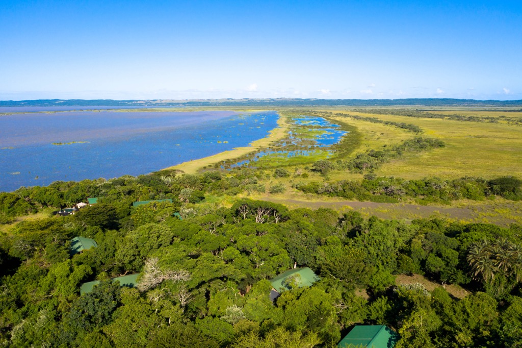 KwaZulu-Cape Coastal Forest, South Africa