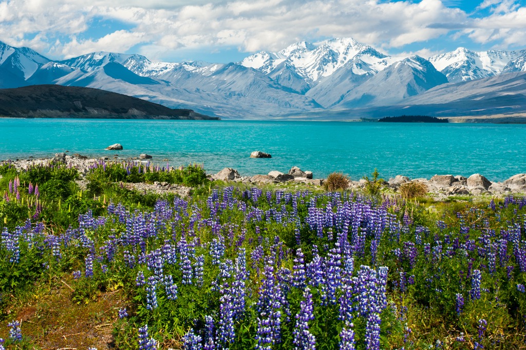Southern Alps, New Zealand
