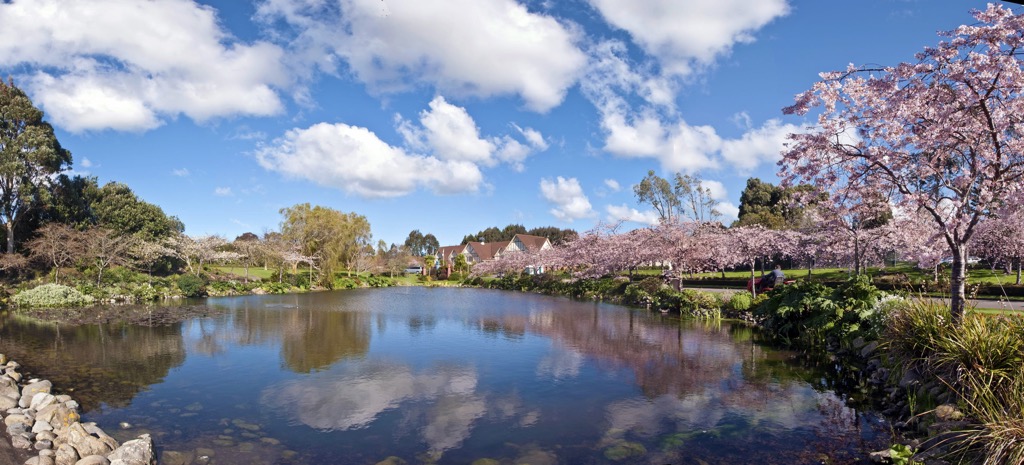 Spring in Palmerston North, Tararua-Range
