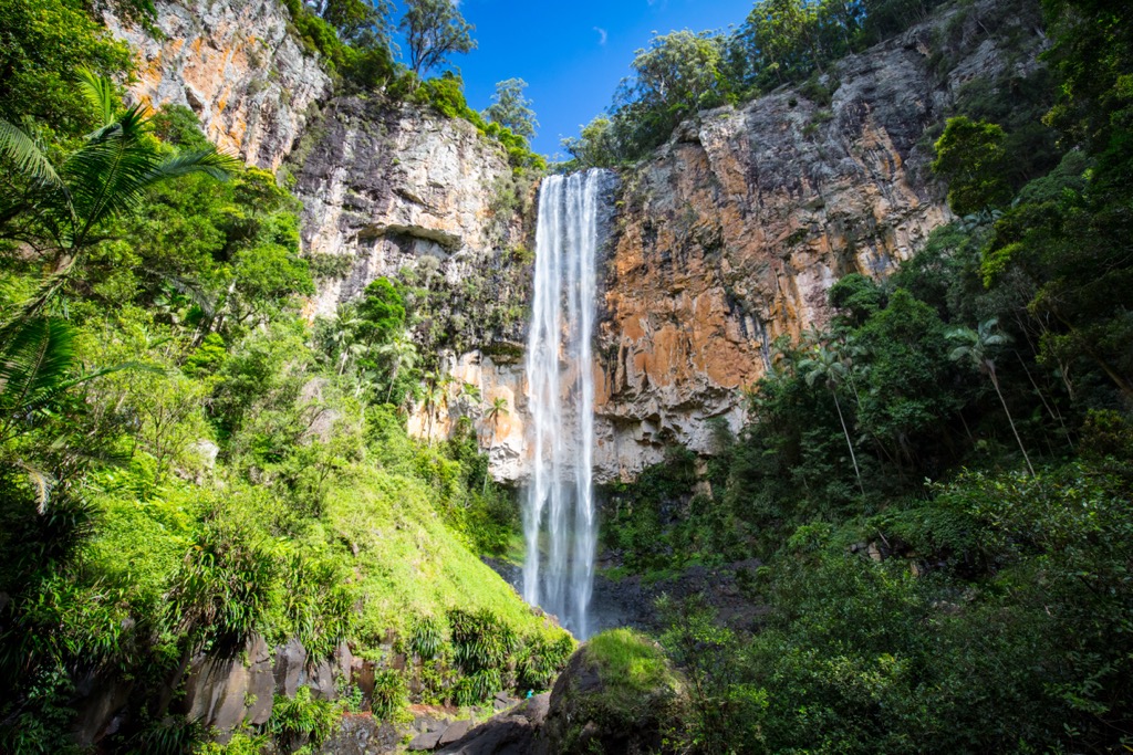 Springbrook National Park, Great Dividing Range, Australia