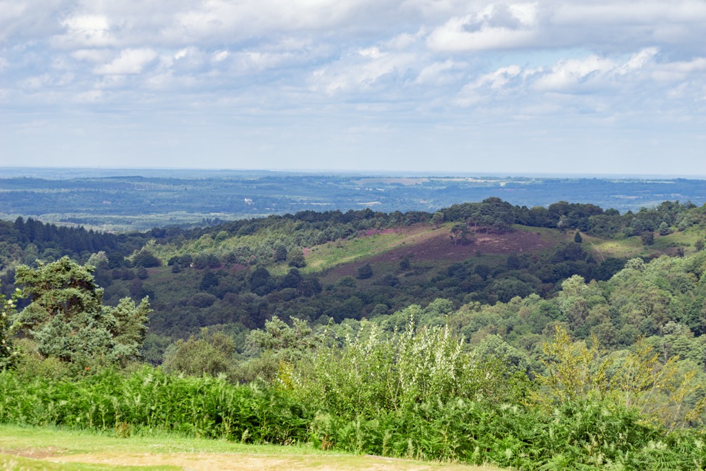 The Devil’s Punch Bowl covers an area of around 697 acres (282 hectares). Surrey