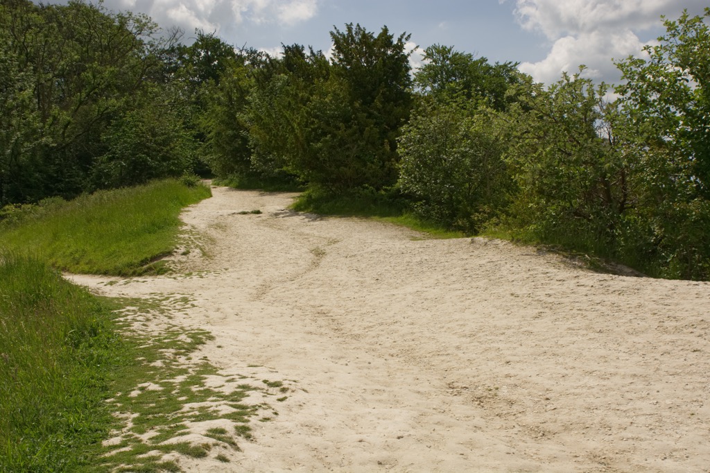 Erosion damage to chalk atop Box Hill. Surrey