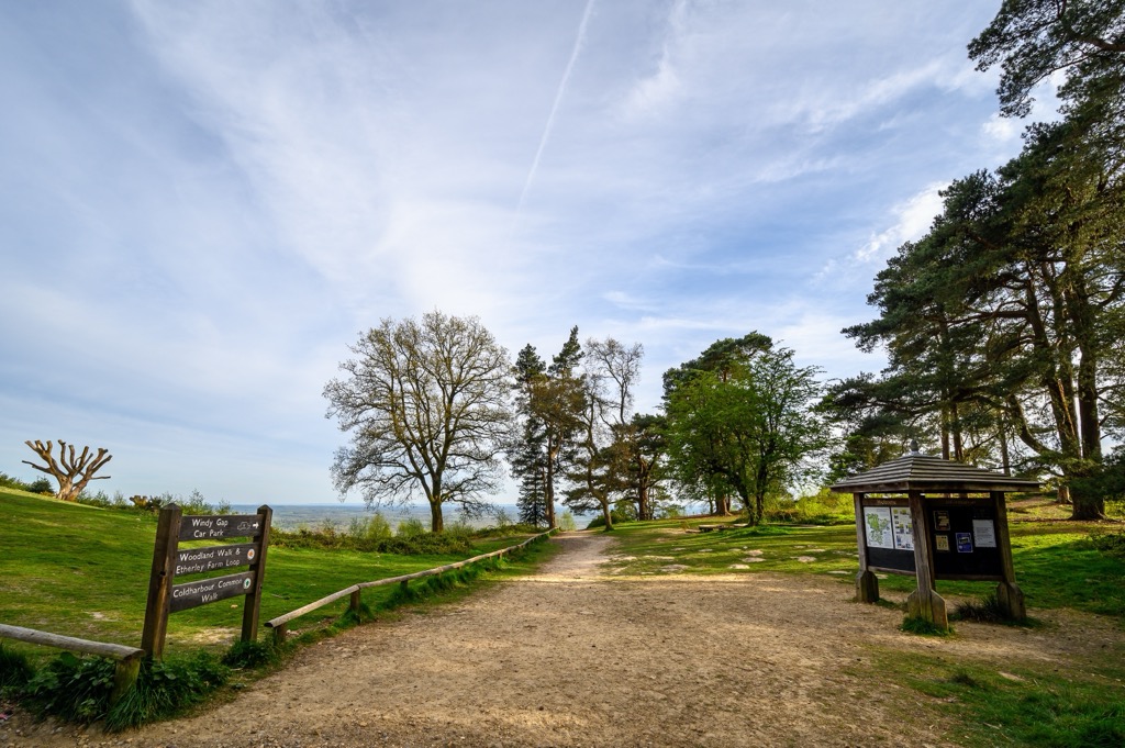 The Greensand Way at Leith Hill. Surrey