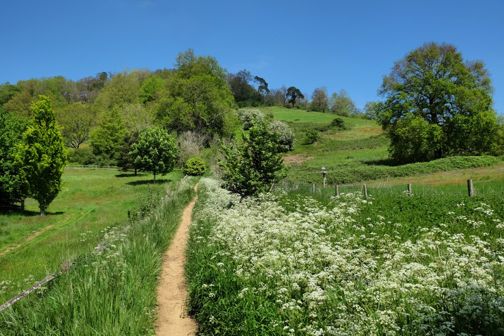 The Pilgrim’s Way near St Martha’s Hill (173 m / 568 ft). Surrey