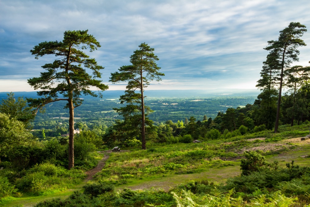 The view from atop Leith Hill. Surrey