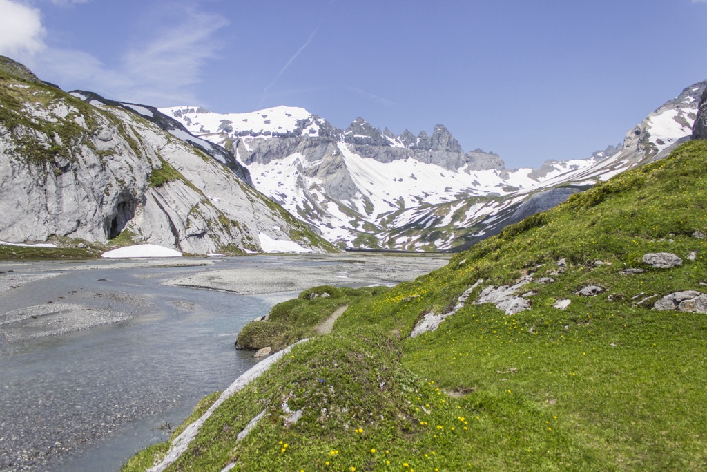 An estimated 12 gray wolf packs reside in the Grisons. Surselva