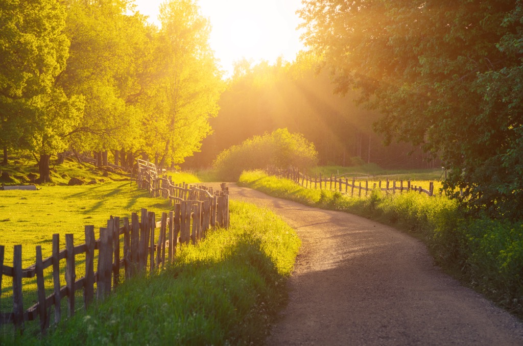 farm country, Sweden