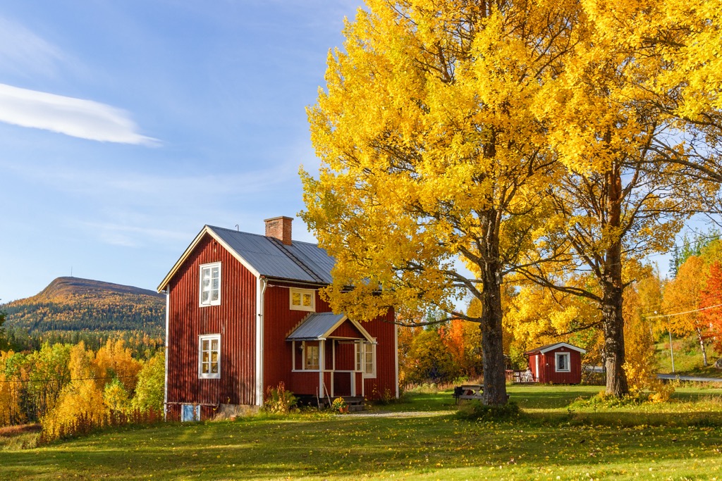 forests of Sweden’s southern tier during autumn, Sweden