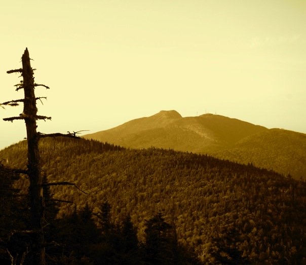 Mt. Mansfield, as seen from Puffer Shelter on Bolton Mountain