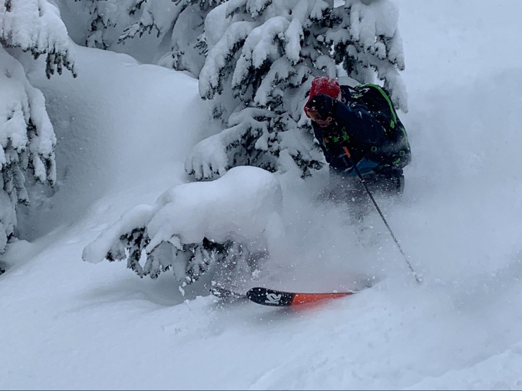 Electra Trees. Telluride Ski Resort. Photo: Sergei Poljak