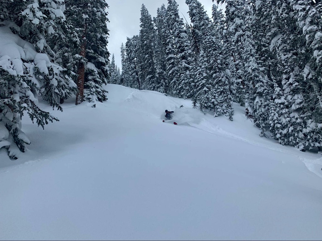 Near Chair 9. Telluride Ski Resort. Photo: Sergei Poljak