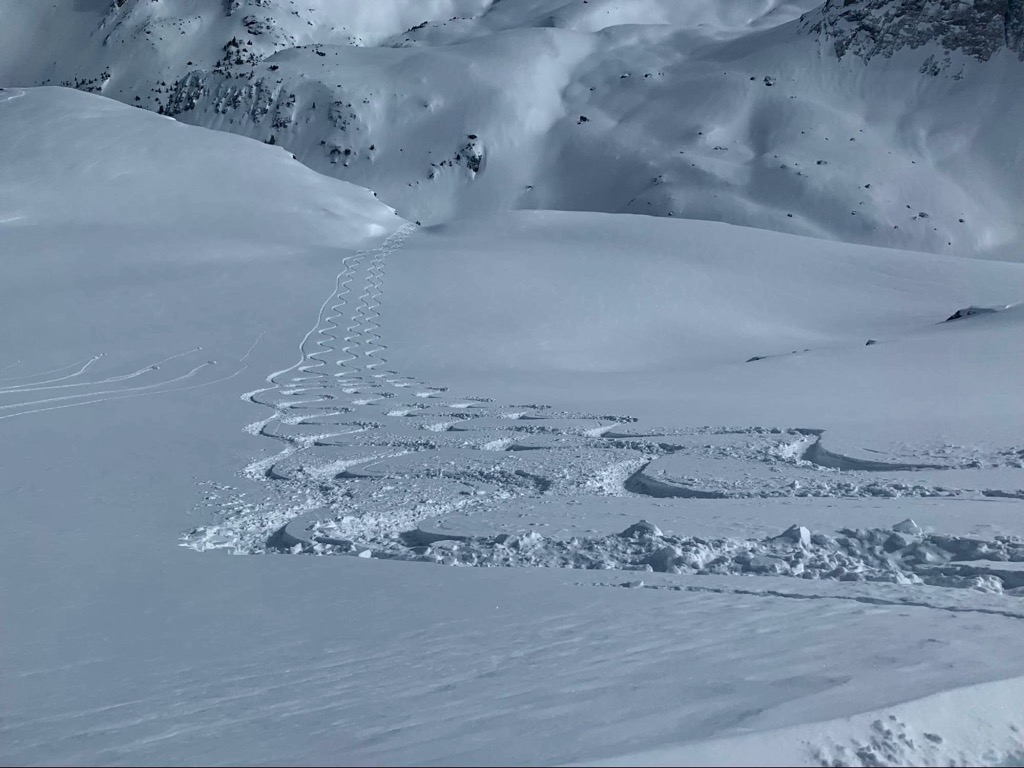 Freshies Telluride Ski Resort. Photo: Sergei Poljak