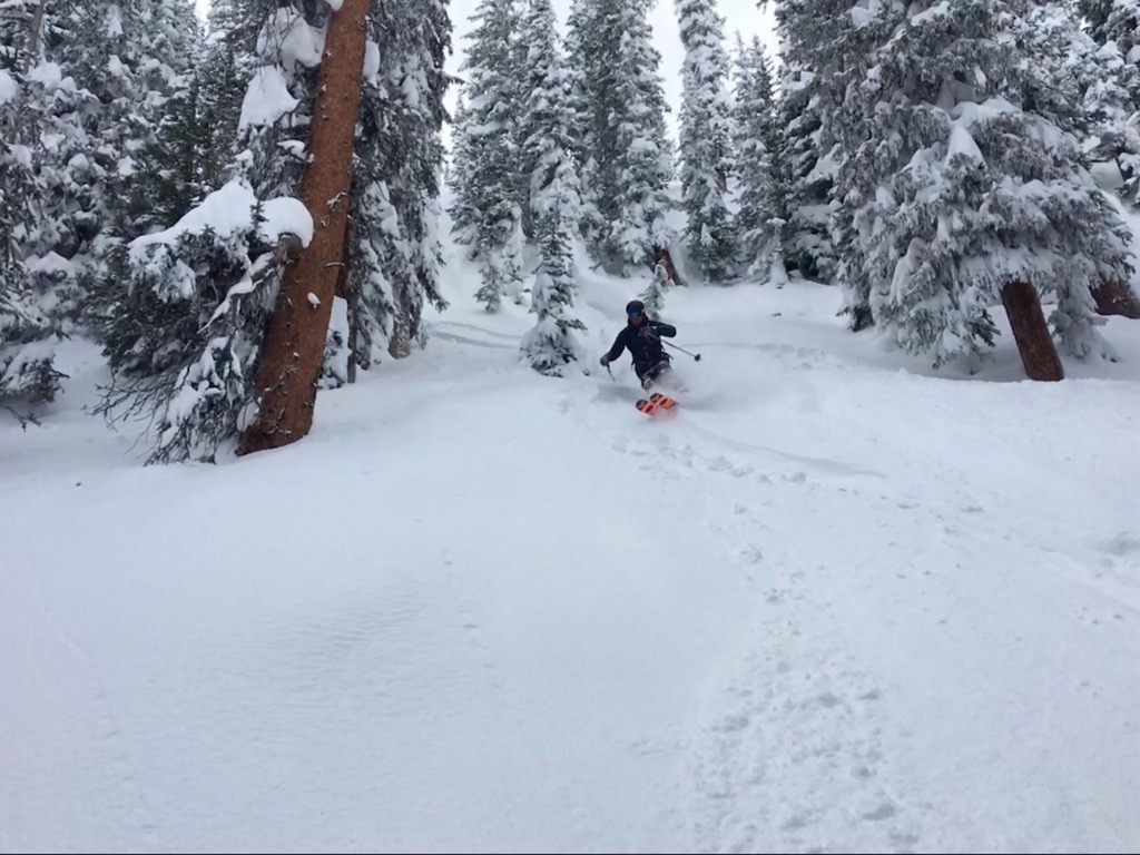 tree skiing. Telluride Ski Resort. Photo: Sergei Poljak