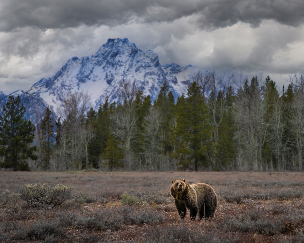 Teton Range, Wyoming