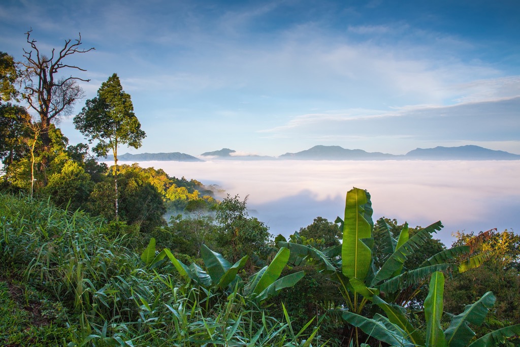 Kaeng Krachan National Park, Thailand