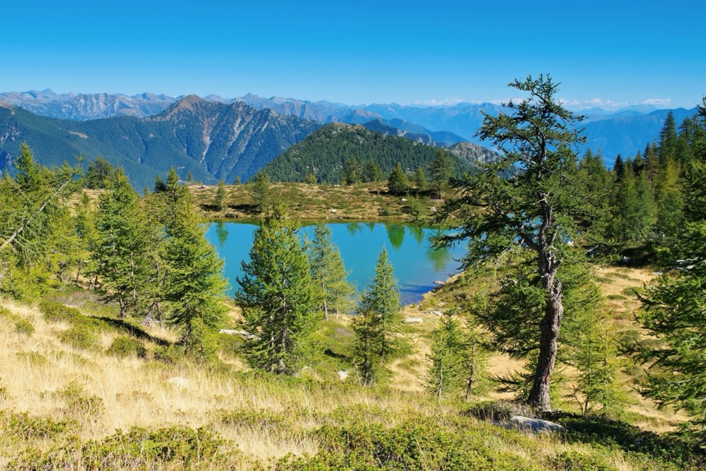 Alpe Salei in Val Onsernone. Ticino Alps