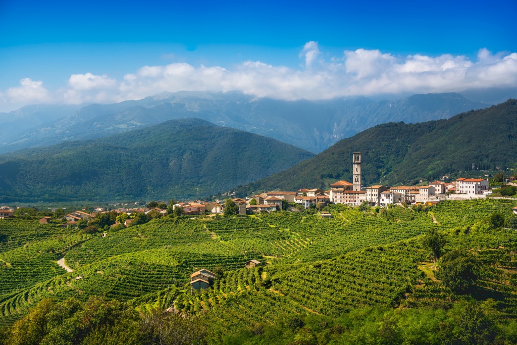 Prosecco Hills Trail, Treviso, Italy