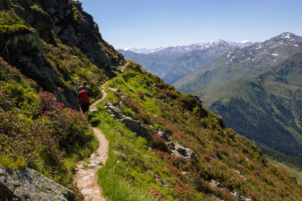 Hikers ascending the Kellerjoch. Tux Alps
