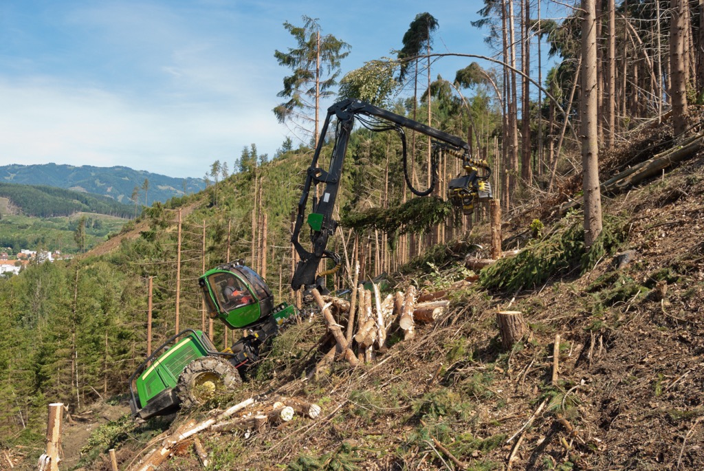 Forestry still comprises a significant portion of the region’s economy. Upper Austria