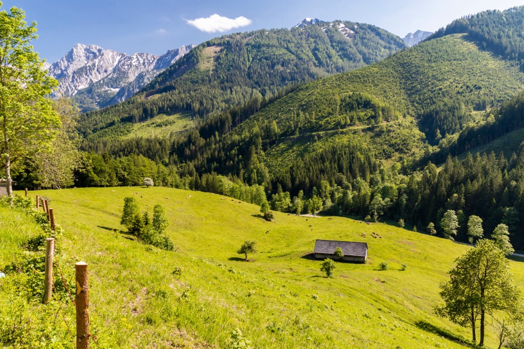 Kalkalpen National Park, Austria. Upper Austria