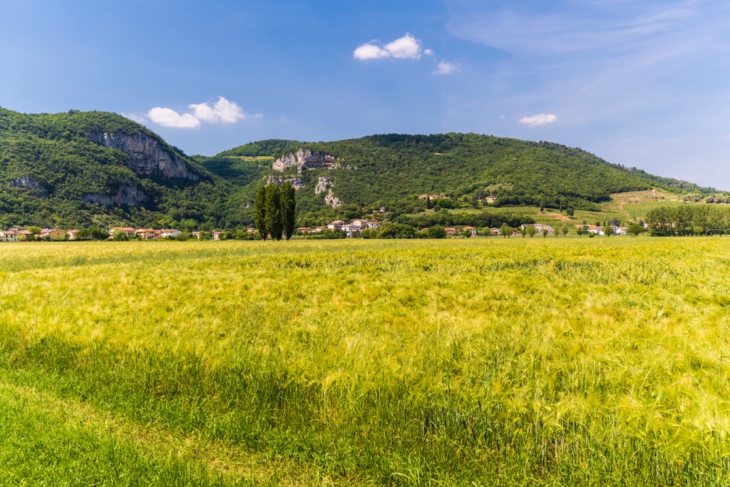 Berici Hills, Vicenza, Italy