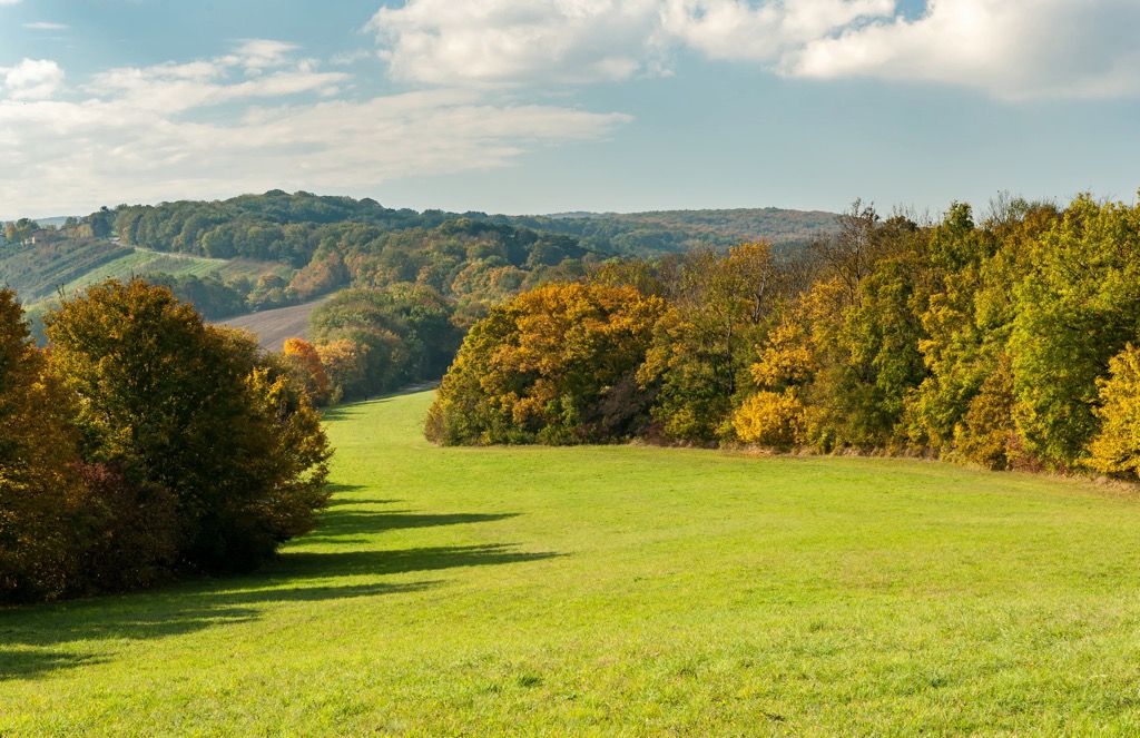 Vienna Woods, Austria