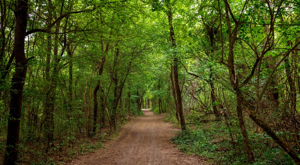 Vienna Woods, Austria