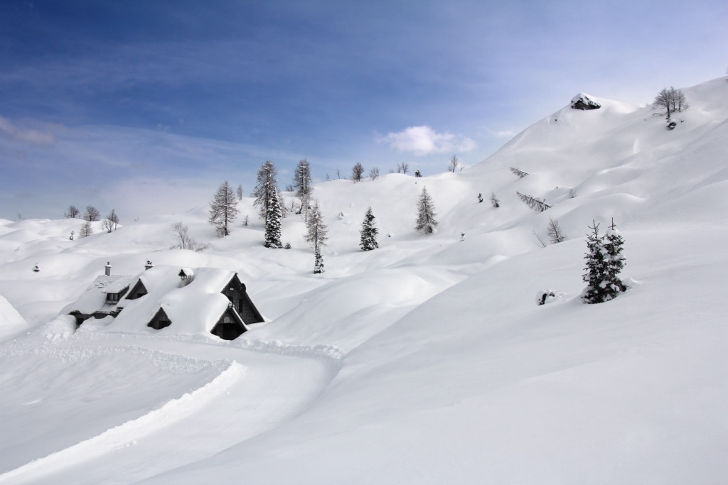 Vogel Ski Resort, Slovenian