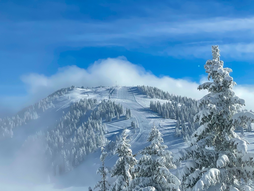 Vogel Ski Resort, Slovenian