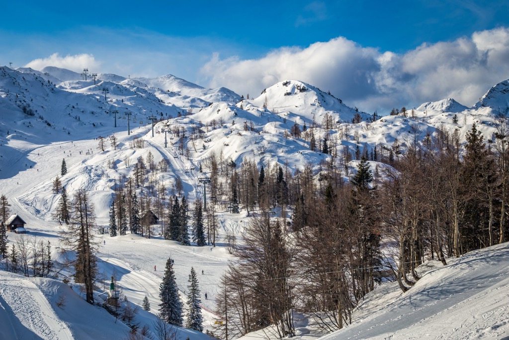Vogel Ski Resort, Slovenian