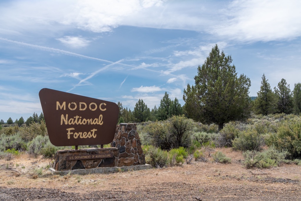 Modoc NF, Warner Mountains, California