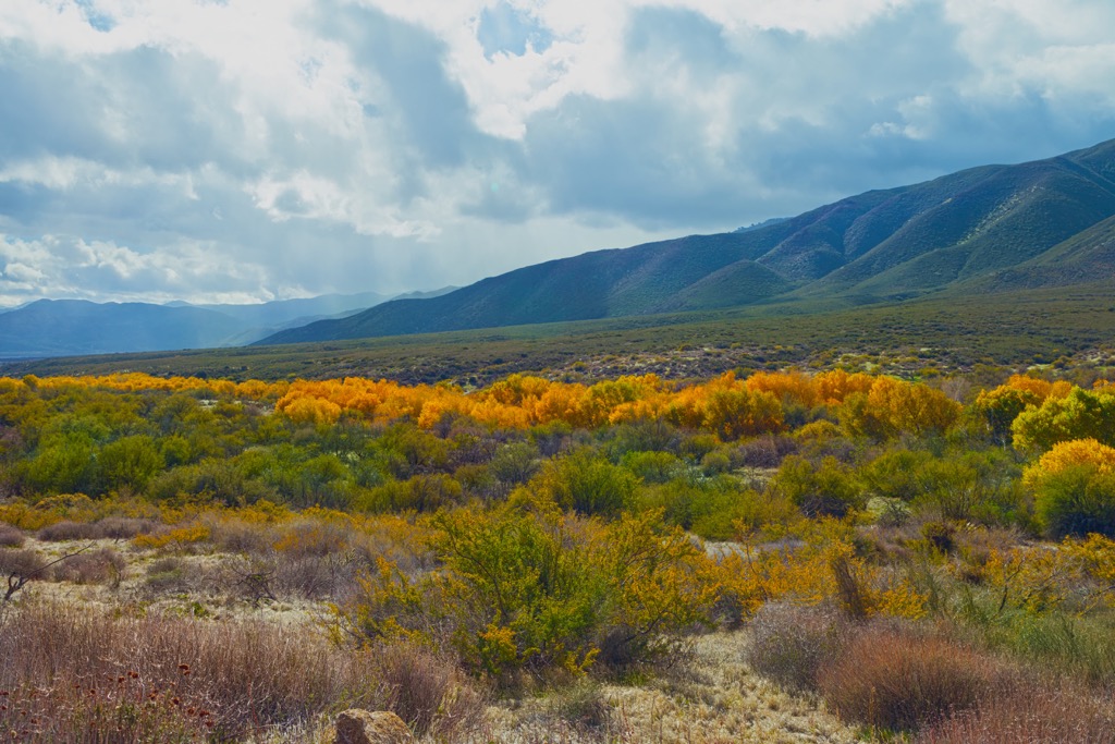 Warner Mountains, California