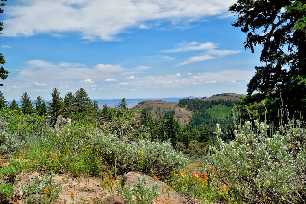 Warner Mountains, California