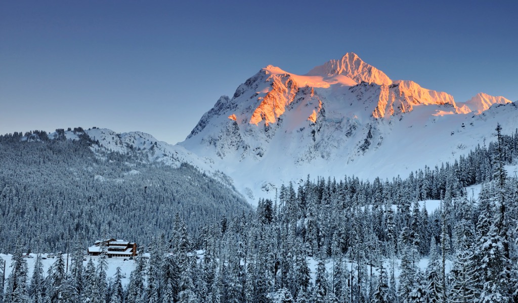 Mt. Baker Ski Area, Washington