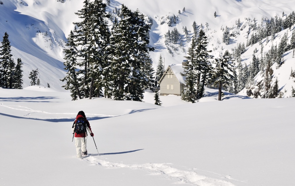 Mt. Baker Ski Area, Washington