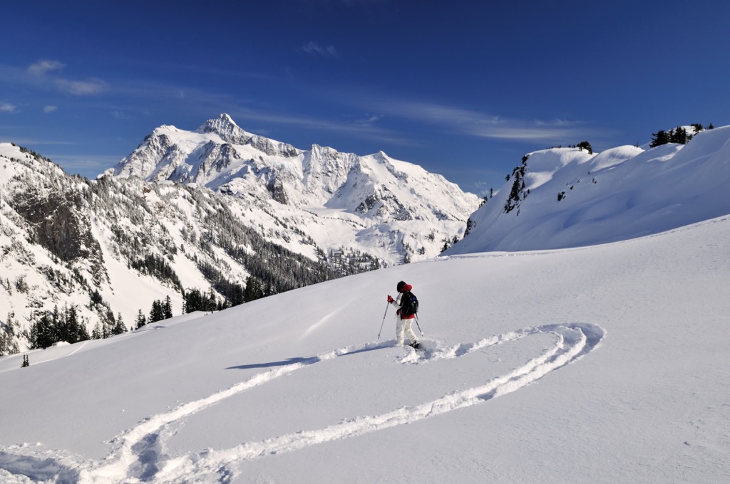 Mt. Baker Ski Area, Washington