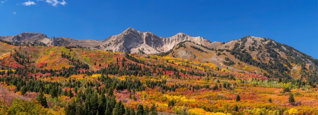 Mt. Ogden. Weber County