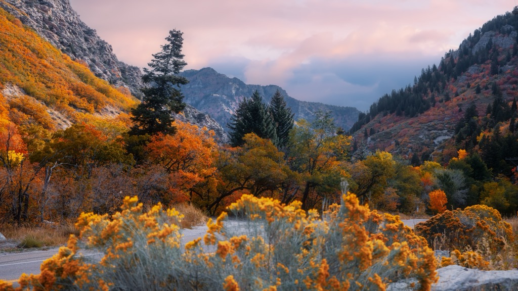 Mount Ogden in autumn. Weber County