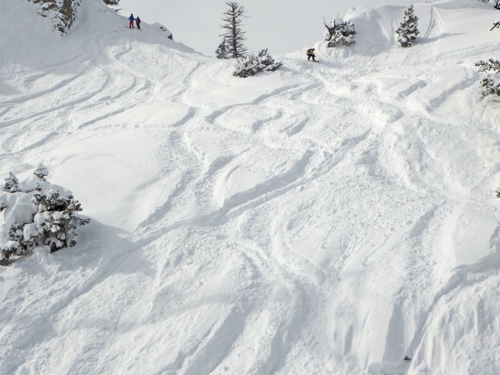 Tracks at Powder Mountain. Weber County