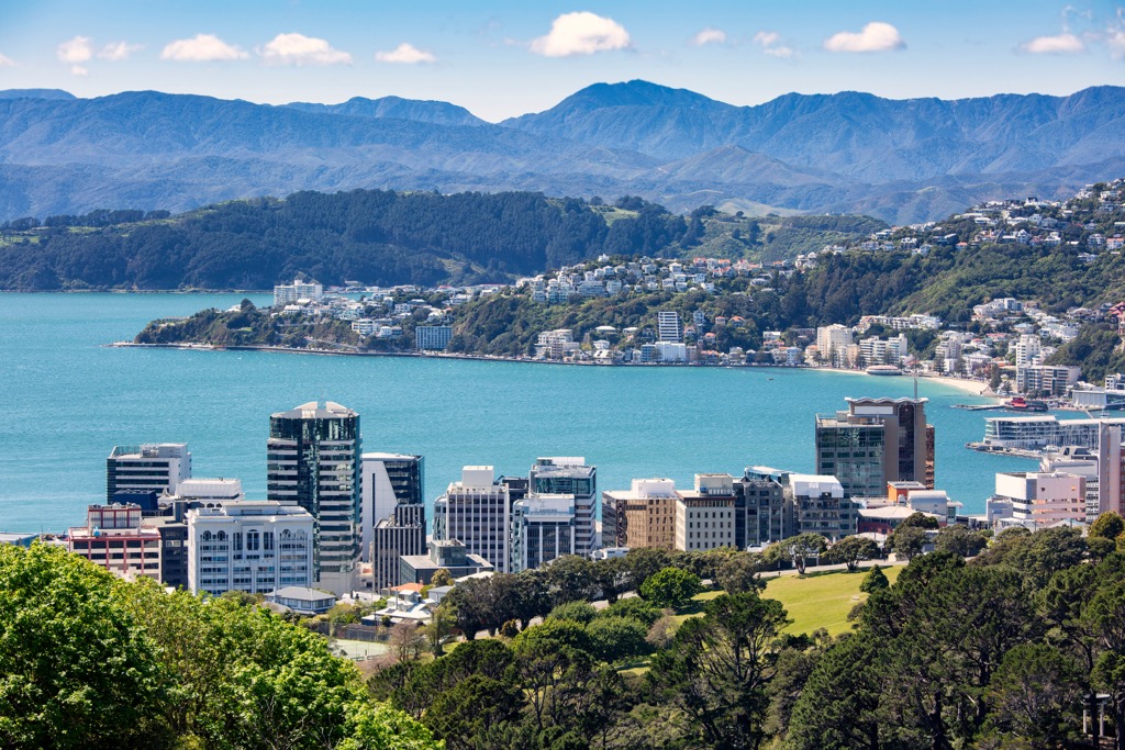 Aerial view of Wellington, Wellington, New Zealand