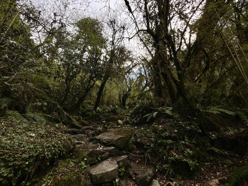 The foothills of the Himalayas are consumed by dense jungle. Photo: Conrad Lucas. Western Development Region